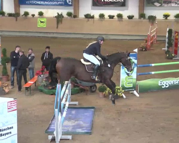 Reitturnier München-Riem 2015