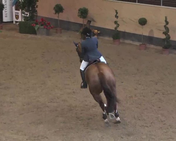 Reitturnier München-Riem 2015