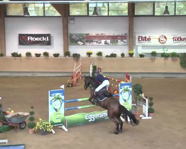Reitturnier München-Riem 2015