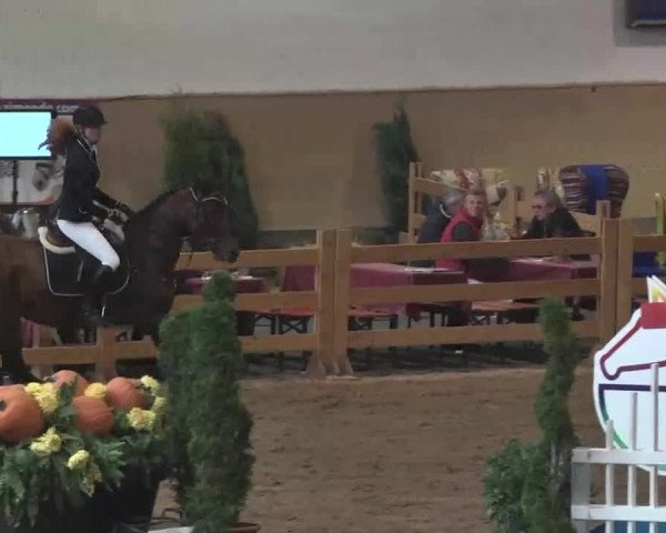 Reitturnier München-Riem 2015