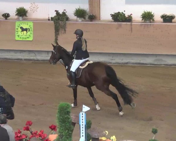 Reitturnier München-Riem 2015