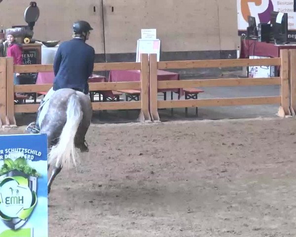 Reitturnier München-Riem 2015