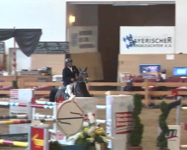 Reitturnier München-Riem 2015
