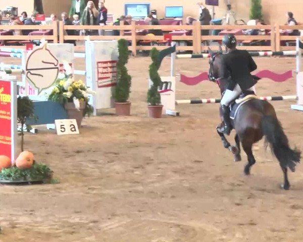 Reitturnier München-Riem 2015