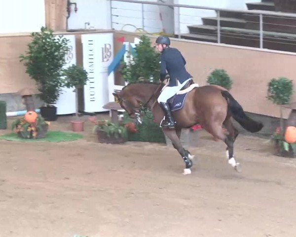 Reitturnier München-Riem 2015