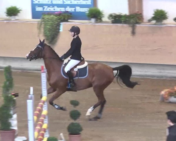Reitturnier München-Riem 2015