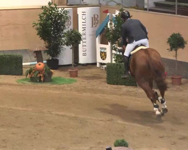 Reitturnier München-Riem 2015