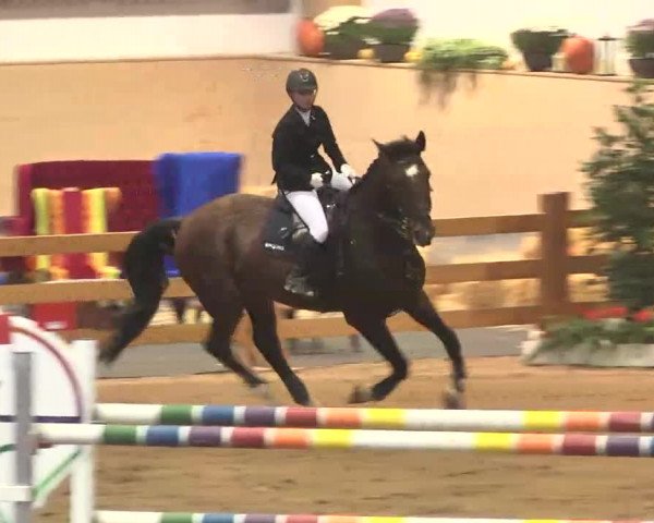 Reitturnier München-Riem 2015