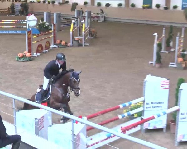 Reitturnier München-Riem 2015