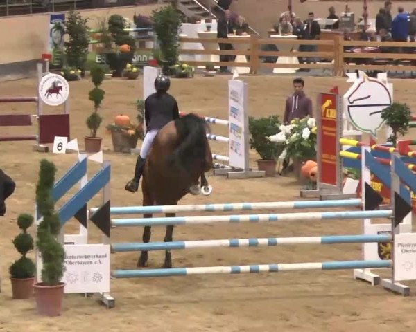 Reitturnier München-Riem 2015
