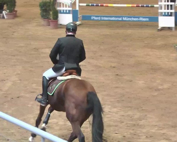 Reitturnier München-Riem 2015