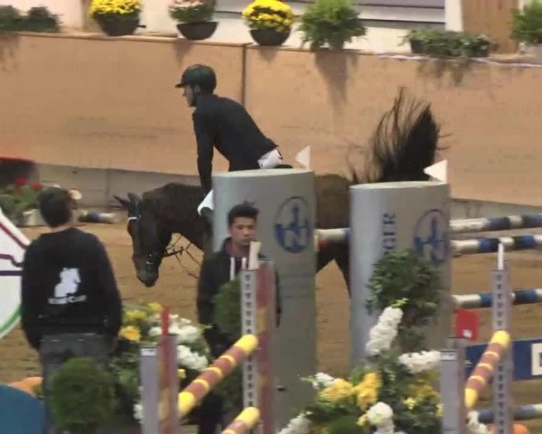 Reitturnier München-Riem 2015