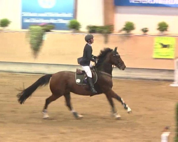 Reitturnier München-Riem 2015