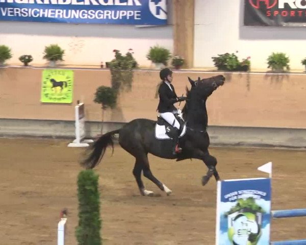 Reitturnier München-Riem 2015