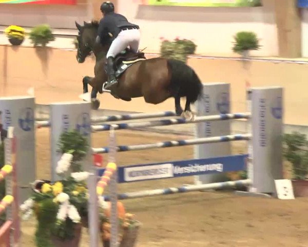 Reitturnier München-Riem 2015