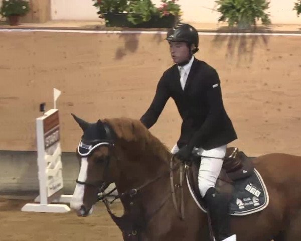 Reitturnier München-Riem 2015