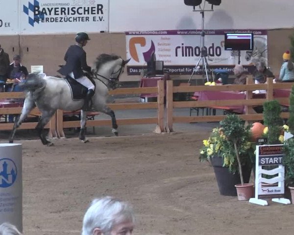 Reitturnier München-Riem 2015