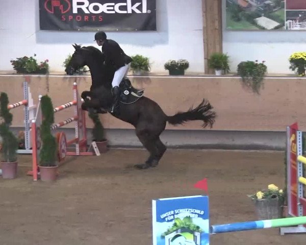 Reitturnier München-Riem 2015