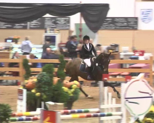 Reitturnier München-Riem 2015