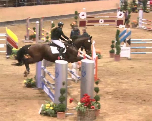 Reitturnier München-Riem 2015