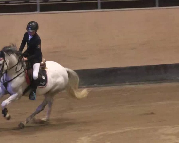 Reitturnier München-Riem 2015