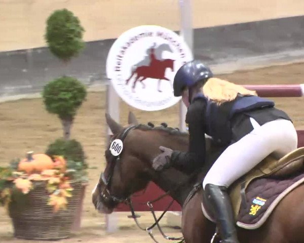 Reitturnier München-Riem 2015