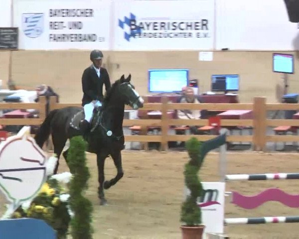 Reitturnier München-Riem 2015