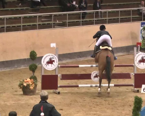 Reitturnier München-Riem 2015