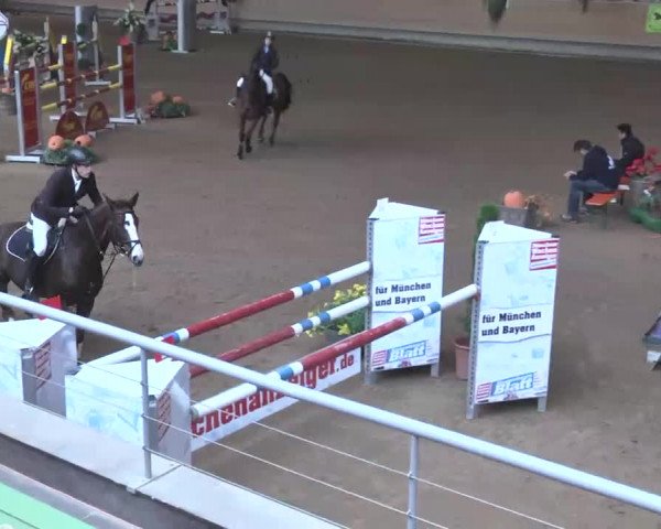 Reitturnier München-Riem 2015