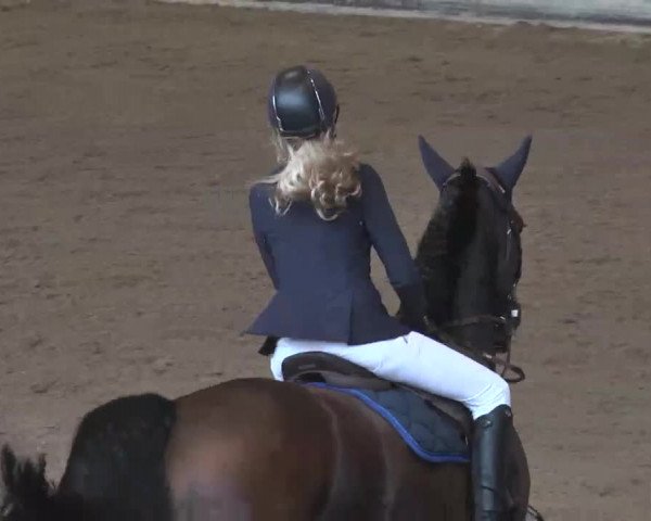Reitturnier München-Riem 2015