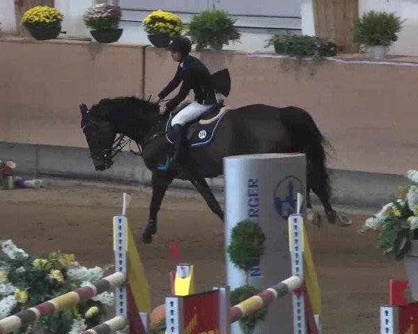 Reitturnier München-Riem 2015