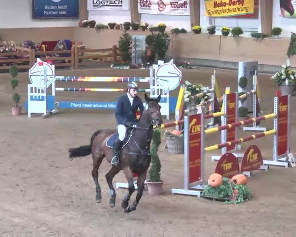 Reitturnier München-Riem 2015