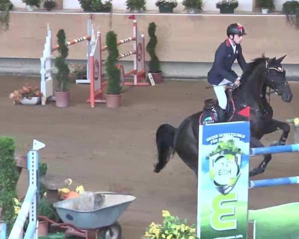 Reitturnier München-Riem 2015