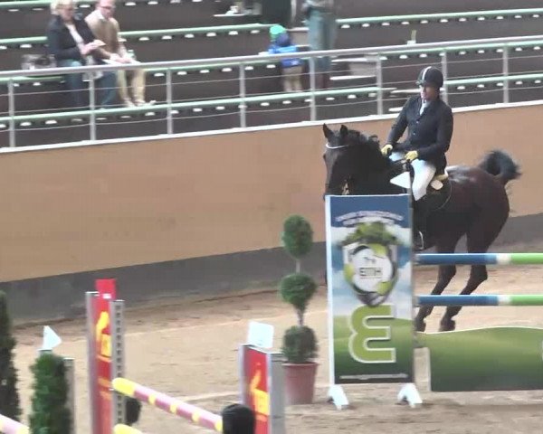 Reitturnier München-Riem 2015