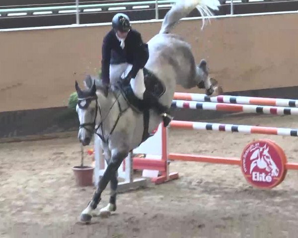 Reitturnier München-Riem 2015