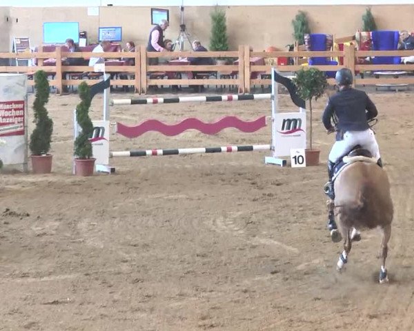 Reitturnier München-Riem 2015