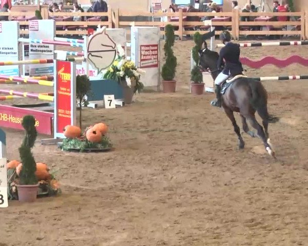 Reitturnier München-Riem 2015