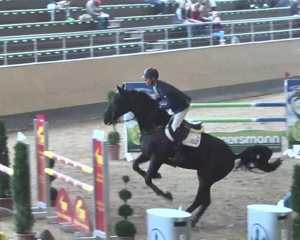 Reitturnier München-Riem 2015