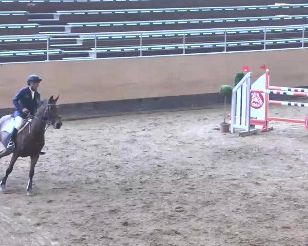 Reitturnier München-Riem 2015