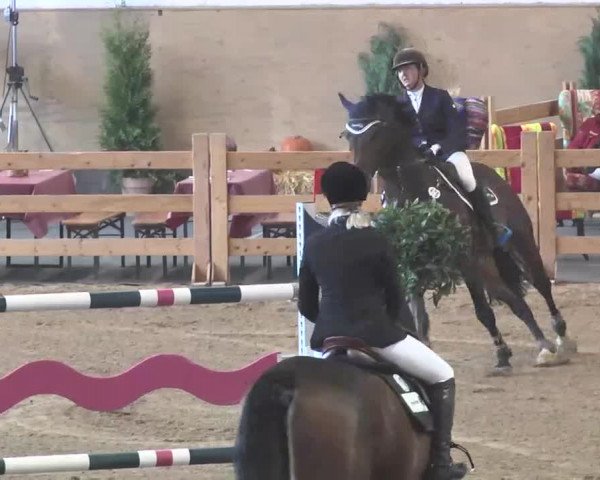 Reitturnier München-Riem 2015