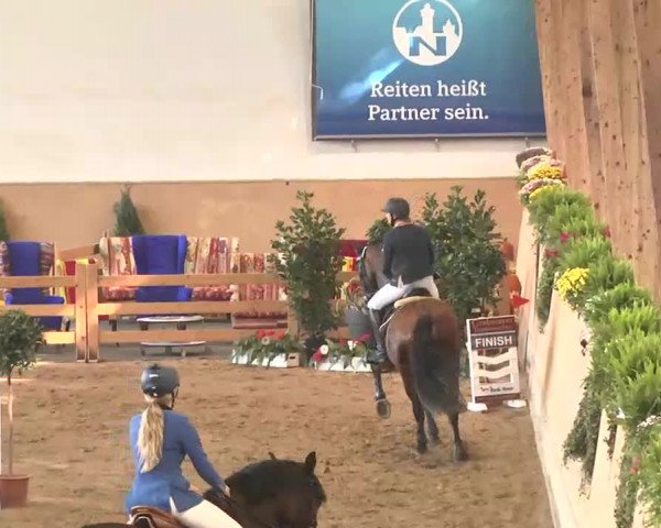 Reitturnier München-Riem 2015