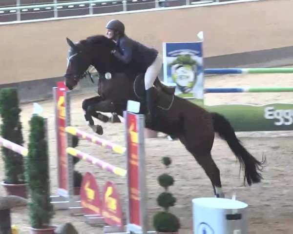 Reitturnier München-Riem 2015