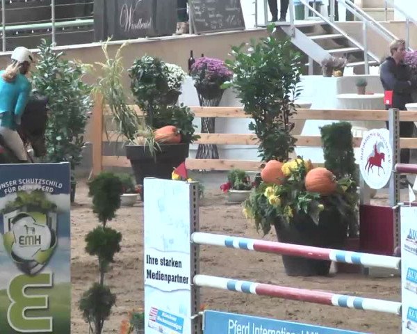Reitturnier München-Riem 2015