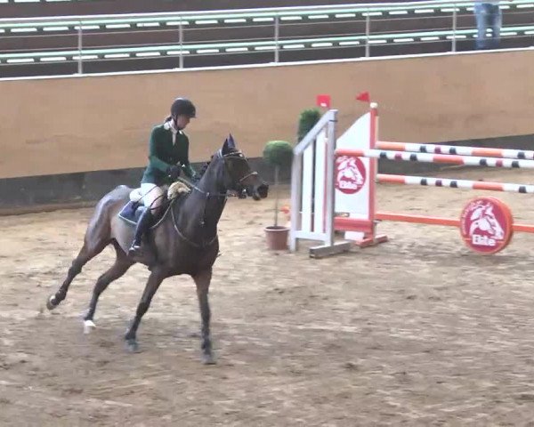 Reitturnier München-Riem 2015