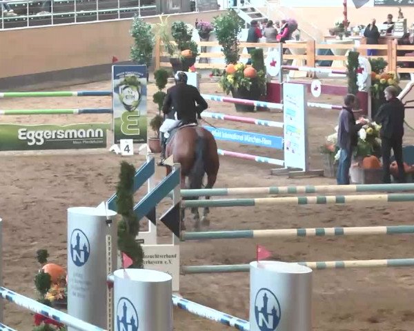 Reitturnier München-Riem 2015
