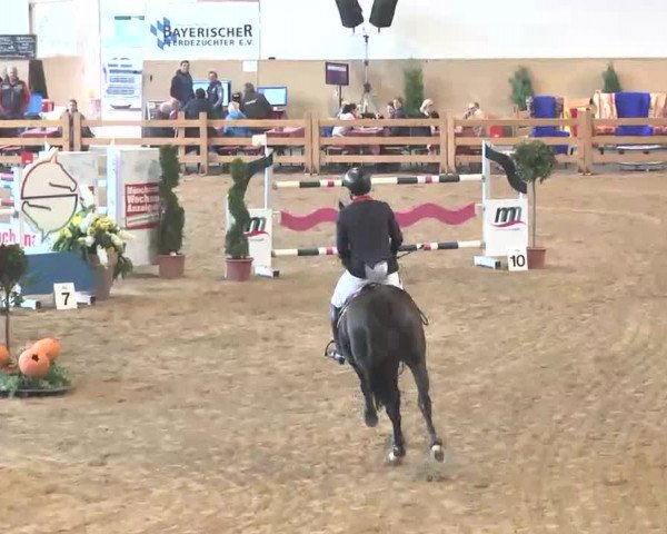 Reitturnier München-Riem 2015