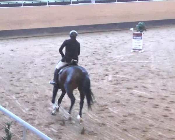 Reitturnier München-Riem 2015