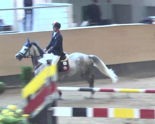 Reitturnier München-Riem 2015
