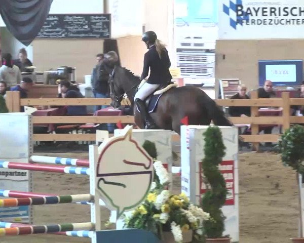 Reitturnier München-Riem 2015