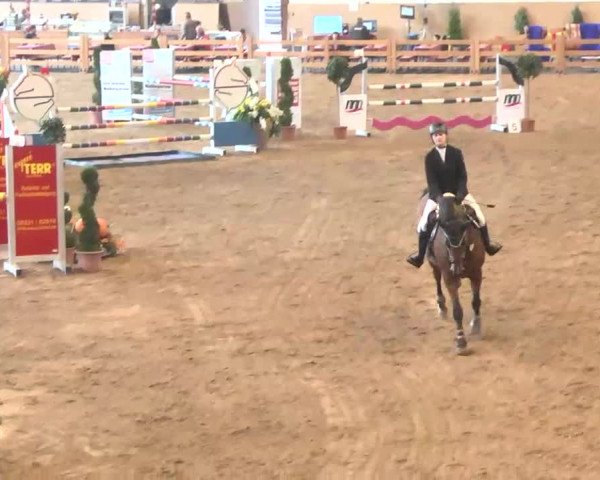 Reitturnier München-Riem 2015
